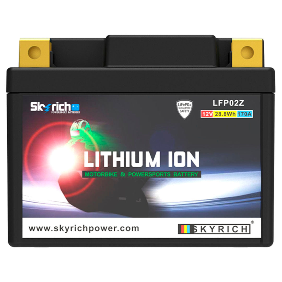 BATTERIE LITHIUM SKYRICH LFP02Z 12V AVEC BMS
