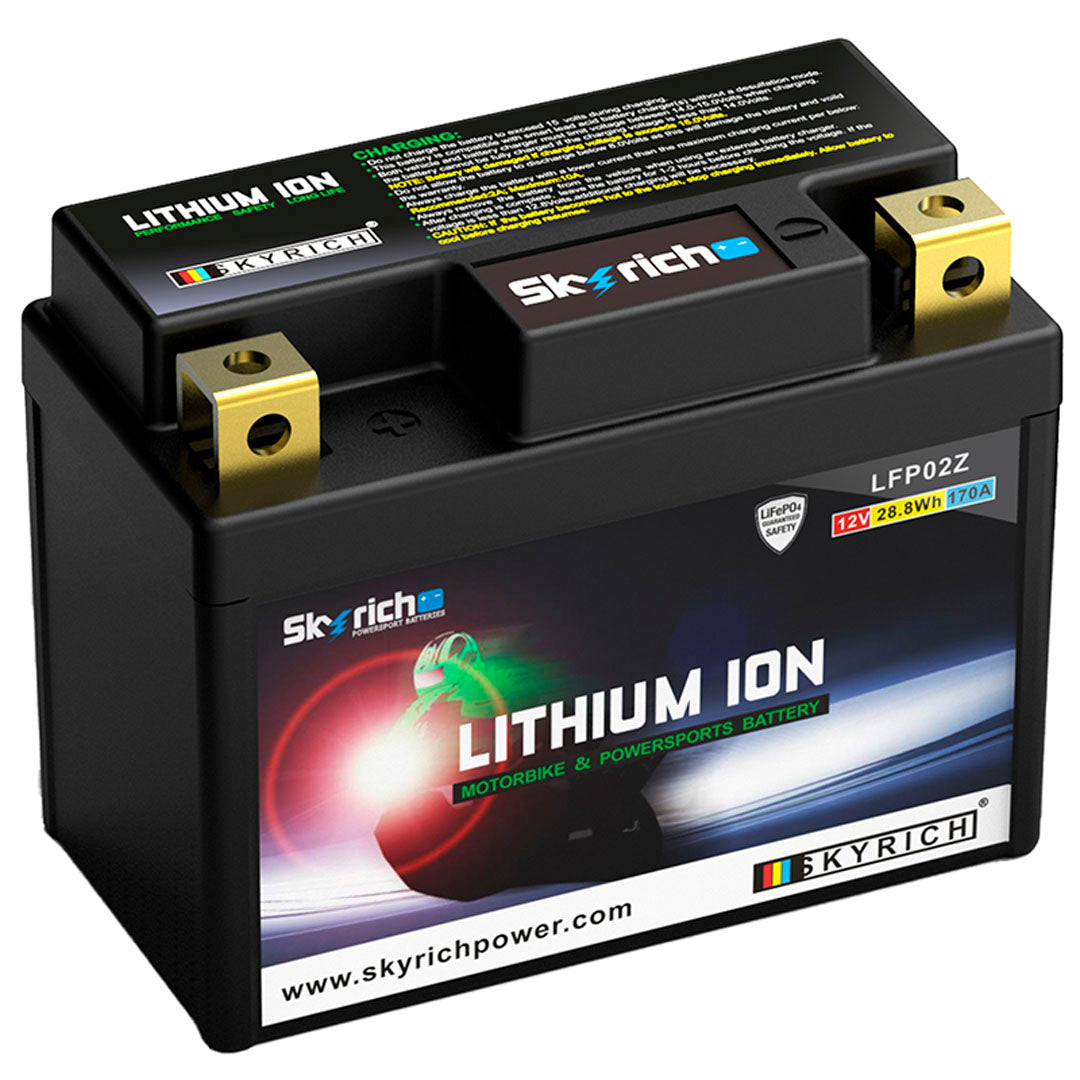 BATTERIE LITHIUM SKYRICH LFP02Z 12V AVEC BMS