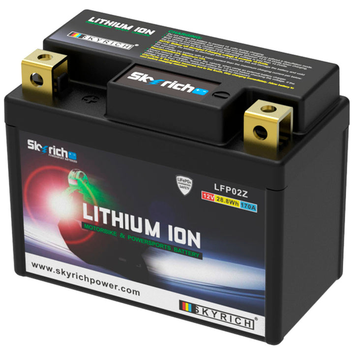 BATTERIE LITHIUM SKYRICH LFP02Z 12V AVEC BMS