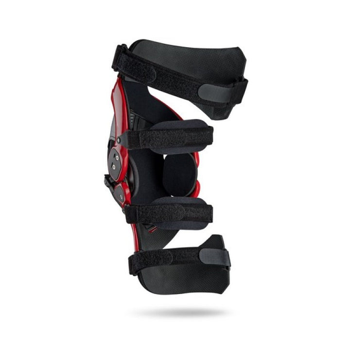 joelheiras-asterisk-cell-back